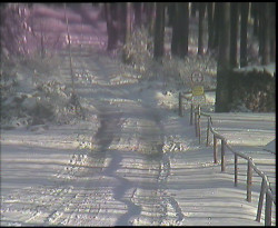 Nástup na běžecké tratě