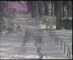 Nástup na běžecké tratě