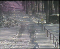 Nástup na běžecké tratě