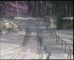 Nástup na běžecké tratě