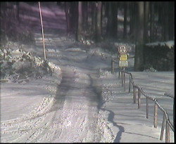 Nástup na běžecké tratě