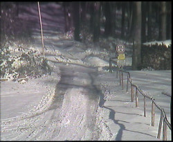 Nástup na běžecké tratě