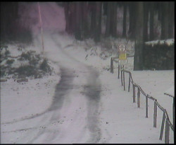 Nástup na běžecké tratě