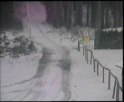 Nástup na běžecké tratě