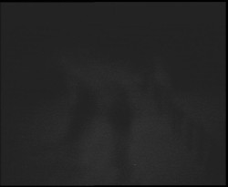 Nástup na běžecké tratě