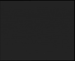 Nástup na běžecké tratě