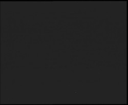 Nástup na běžecké tratě