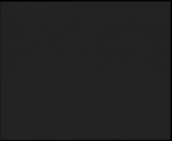 Nástup na běžecké tratě