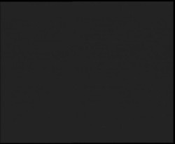 Nástup na běžecké tratě