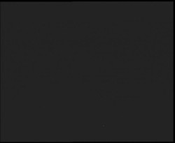 Nástup na běžecké tratě