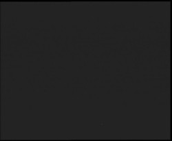 Nástup na běžecké tratě