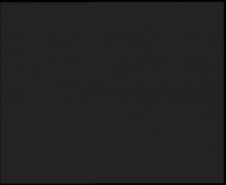 Nástup na běžecké tratě