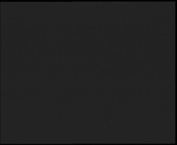 Nástup na běžecké tratě