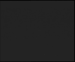 Nástup na běžecké tratě