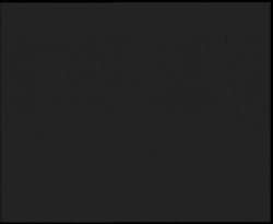 Nástup na běžecké tratě