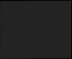 Nástup na běžecké tratě