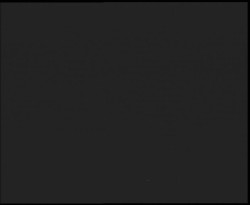 Nástup na běžecké tratě