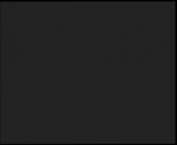 Nástup na běžecké tratě