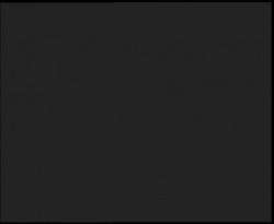 Nástup na běžecké tratě