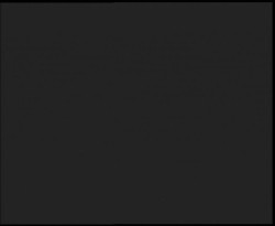 Nástup na běžecké tratě