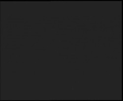 Nástup na běžecké tratě