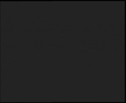 Nástup na běžecké tratě