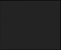 Nástup na běžecké tratě