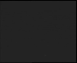 Nástup na běžecké tratě