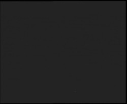 Nástup na běžecké tratě