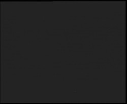 Nástup na běžecké tratě