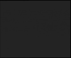 Nástup na běžecké tratě