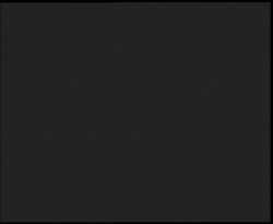 Nástup na běžecké tratě