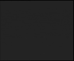 Nástup na běžecké tratě