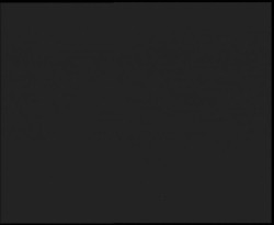 Nástup na běžecké tratě