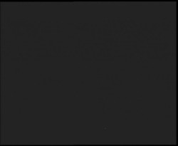 Nástup na běžecké tratě