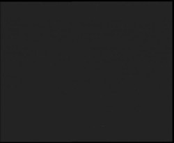 Nástup na běžecké tratě