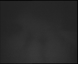 Nástup na běžecké tratě