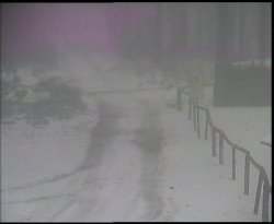 Nástup na běžecké tratě