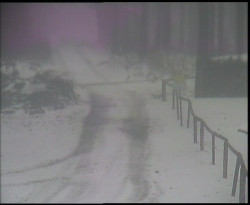 Nástup na běžecké tratě