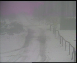 Nástup na běžecké tratě