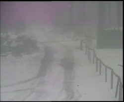 Nástup na běžecké tratě