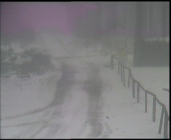 Nástup na běžecké tratě