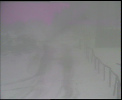 Nástup na běžecké tratě