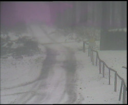 Nástup na běžecké tratě