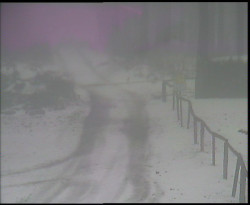 Nástup na běžecké tratě