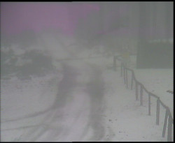 Nástup na běžecké tratě