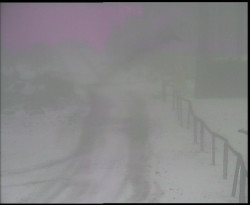 Nástup na běžecké tratě