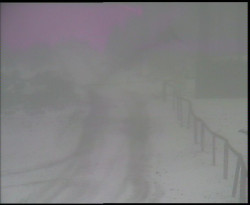 Nástup na běžecké tratě