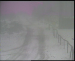 Nástup na běžecké tratě