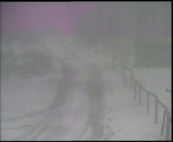 Nástup na běžecké tratě